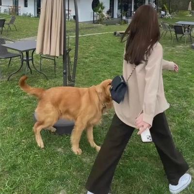 鹿王