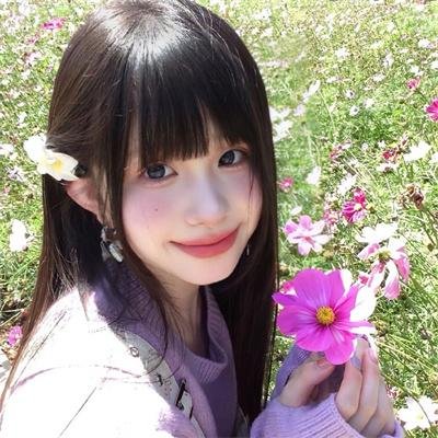 一周的朋友2017